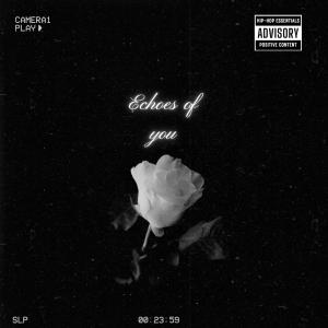 Massive Giovanny X的專輯Echoes of you