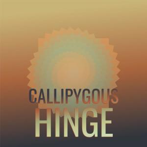 收听Stek Nese的Callipygous Hinge歌词歌曲