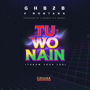 Album TuWoNain (Throw Your Leg) from GHB2B