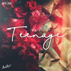 ดาวน์โหลดและฟังเพลง Teenage Crime พร้อมเนื้อเพลงจาก Ameria