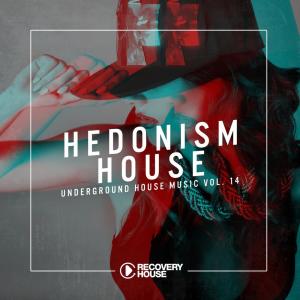 Album Hedonism House, Vol. 14 oleh Various Artists