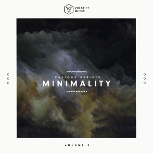 Various Artists的專輯Voltaire Music pres. Minimality, Vol. 6
