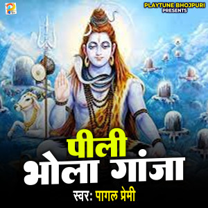 Album Pili Bhola Gaja from Pagal Premi