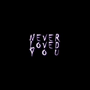 Never Loved You (Explicit)