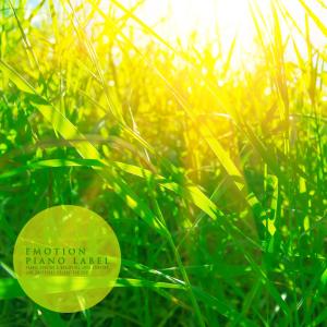 Listen to Over A Peaceful Sky song with lyrics from 아오이도스
