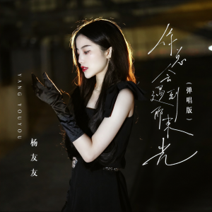 Listen to 你总会遇到那束光 (弹唱版) song with lyrics from 杨友友