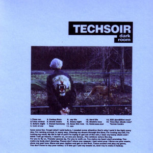 ดาวน์โหลดและฟังเพลง Sally's Night พร้อมเนื้อเพลงจาก Techsoir