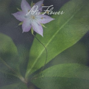 Listen to Dis Flower song with lyrics from Georges Bizet