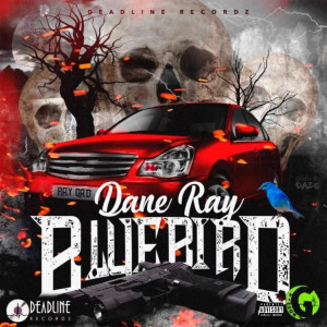 ดาวน์โหลดและฟังเพลง Bluebird (Explicit) พร้อมเนื้อเพลงจาก Dane Ray