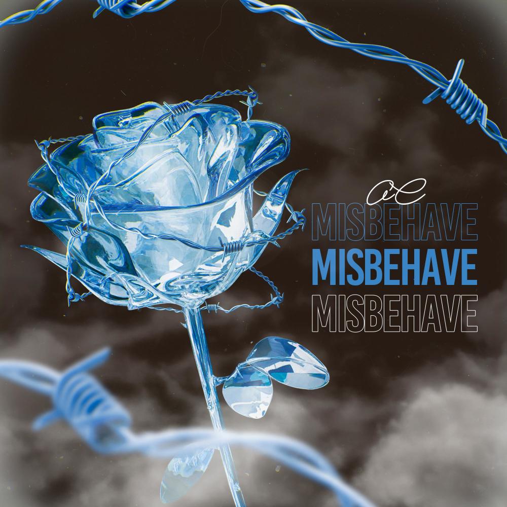 MISBEHAVE (Explicit)