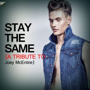 收聽Ameritz Tribute Standards的Stay the Same (A Tribute to Joey Mcentire)歌詞歌曲