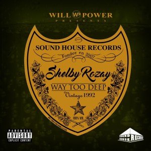 ดาวน์โหลดและฟังเพลง Pick Up (Explicit) พร้อมเนื้อเพลงจาก SHELBY ROZAY