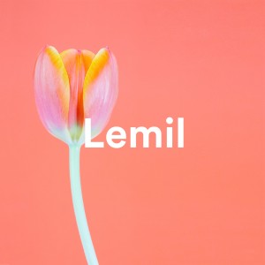 Lemil的专辑KozyTape pt.7