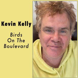 อัลบัม Birds On The Boulevard ศิลปิน Kevin Kelly