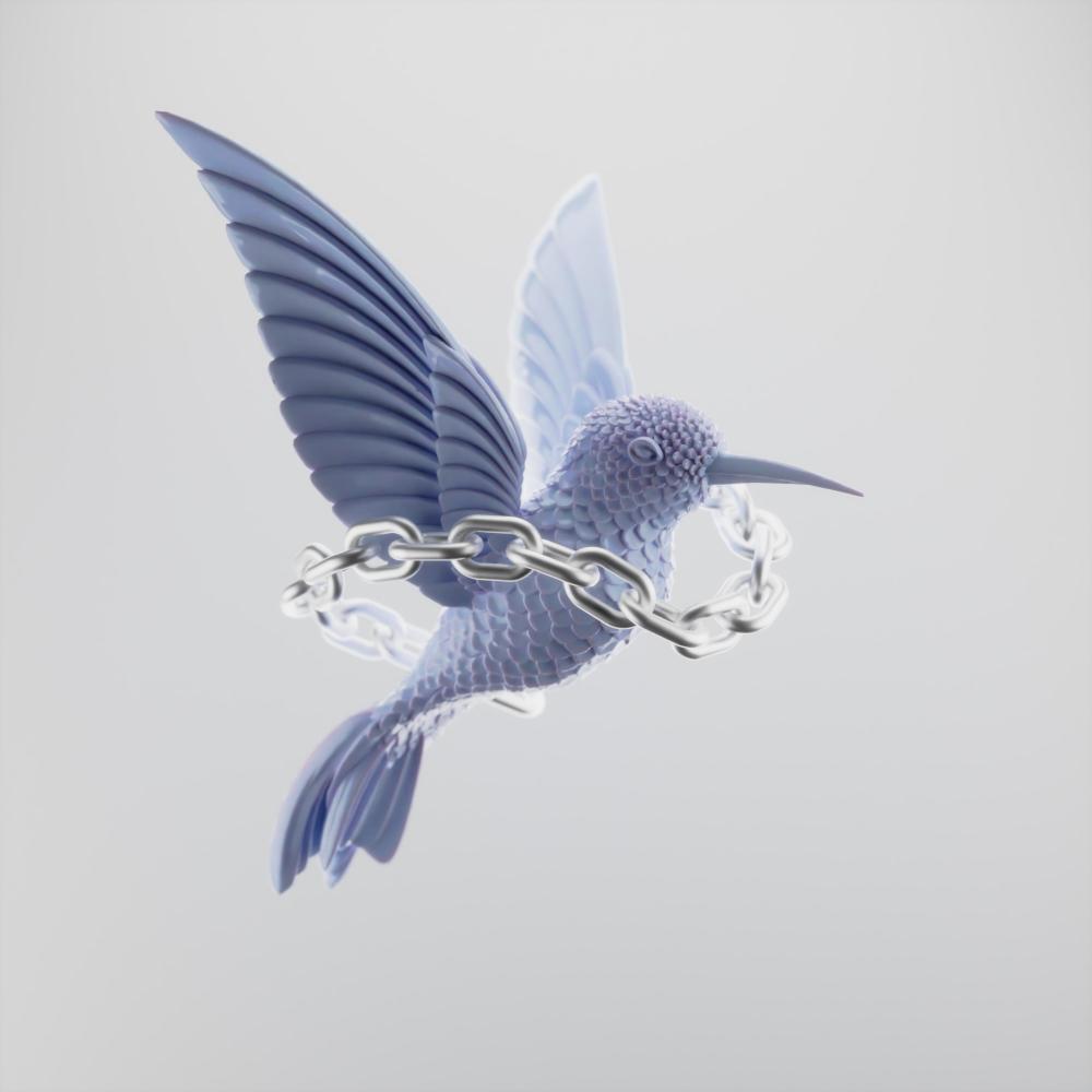 colibrí