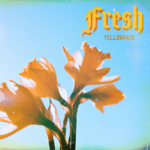 Album Fresh from Yellowbase