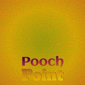 ดาวน์โหลดและฟังเพลง Onto Backyard พร้อมเนื้อเพลงจาก Cheick Balam