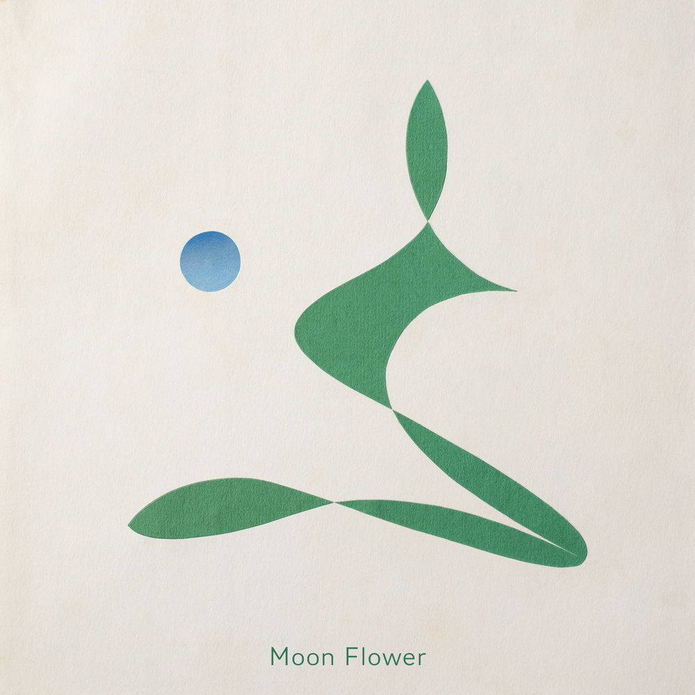 Moon Flower