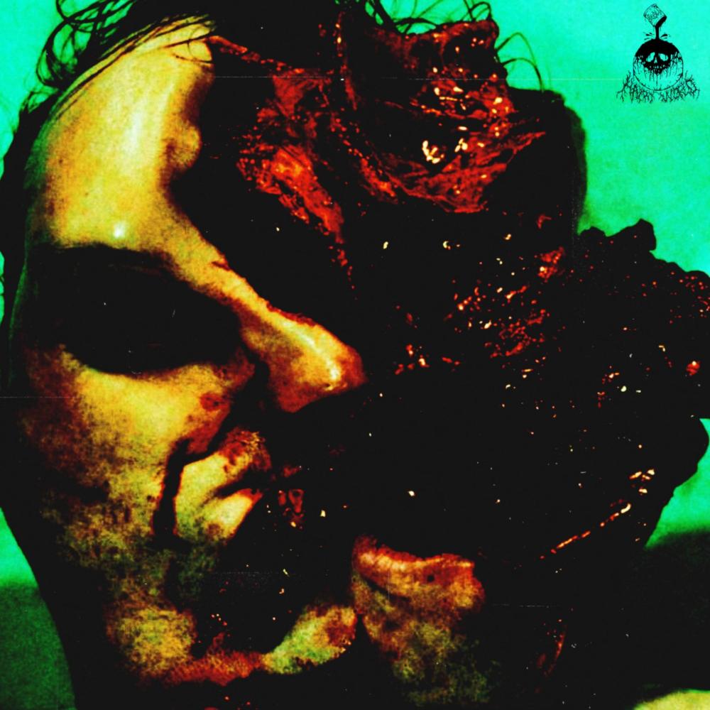HAIRYHOLE (Explicit)