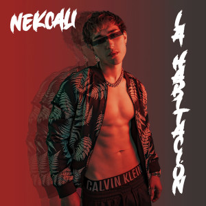 Listen to La Habitacion song with lyrics from Nekcali