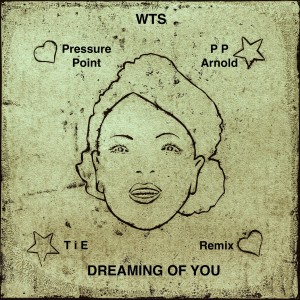Listen to Dreaming Of You (TiE Remix) song with lyrics from Pressure Point