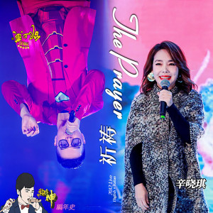 Dengarkan lagu The Prayer 祈祷 (2012 Live) nyanyian 辛晓琪 dengan lirik