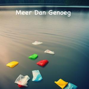 Album Meer Dan Genoeg oleh Foxi