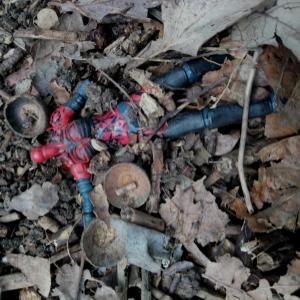Album Buried Amongst The Leaf Litter from James Shearman