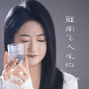 Album 雁南飞人未归 from 赵洋