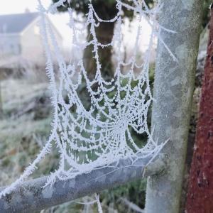 收聽spellscasted的mirage (Explicit)歌詞歌曲