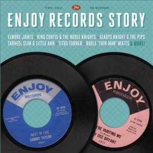 Various Artists的專輯Enjoy Records Story