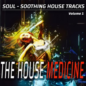 Listen to Step (Room 69 Mix) song with lyrics from Mischa Miller