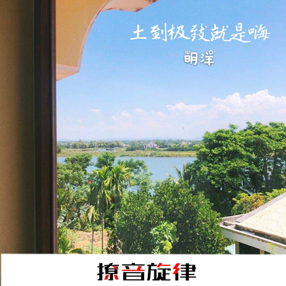 土到极致就是潮 (DJ版)