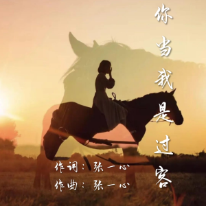Album 你当我是过客 from 张一心