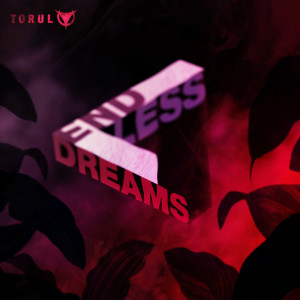 Album End Less Dreams from Torul