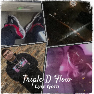 Listen to Triple D Flow (Explicit) song with lyrics from Lyle Gotti