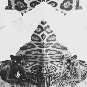 ดาวน์โหลดและฟังเพลง Jaguar พร้อมเนื้อเพลงจาก Dekai