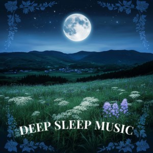 Deep Sleep Music的專輯Gentle Summer Wind Sleep Sounds for Relaxation