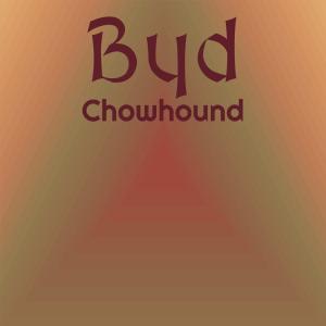 ดาวน์โหลดและฟังเพลง Byd Chowhound พร้อมเนื้อเพลงจาก Wilo Punie