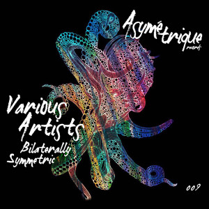 Various的专辑Bilaterally Symmetric VA