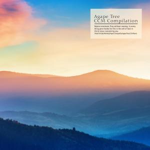 Various Artists的專輯Music For Early Morning Prayer Conveyed By Agape Tree (CCM Piano)