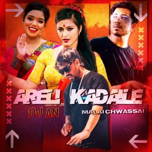 อัลบัม Areli kadaile (Chwassai Troll Mix) ศิลปิน DJ AN