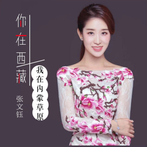 收聽張文鈺的你在西藏我在內蒙草原 (伴奏)歌詞歌曲