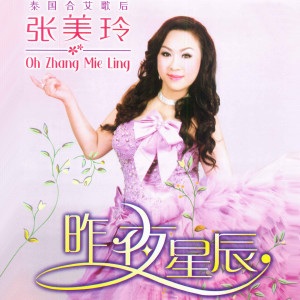 Listen to 我有一段情 song with lyrics from 张美玲