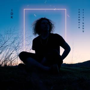 ดาวน์โหลดและฟังเพลง IDK พร้อมเนื้อเพลงจาก Zenaware