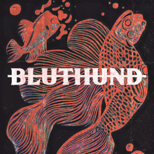 收聽Bluthund的Goldfisch (Explicit)歌詞歌曲