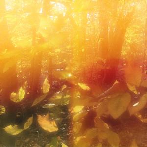 收聽The Antlers的Green to Gold (Brent Arnold Remix)歌詞歌曲