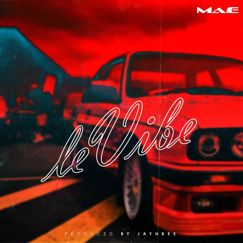 LeVibe (Remastered)
