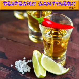 Album Despecho Cantinero, Vol.7 from 