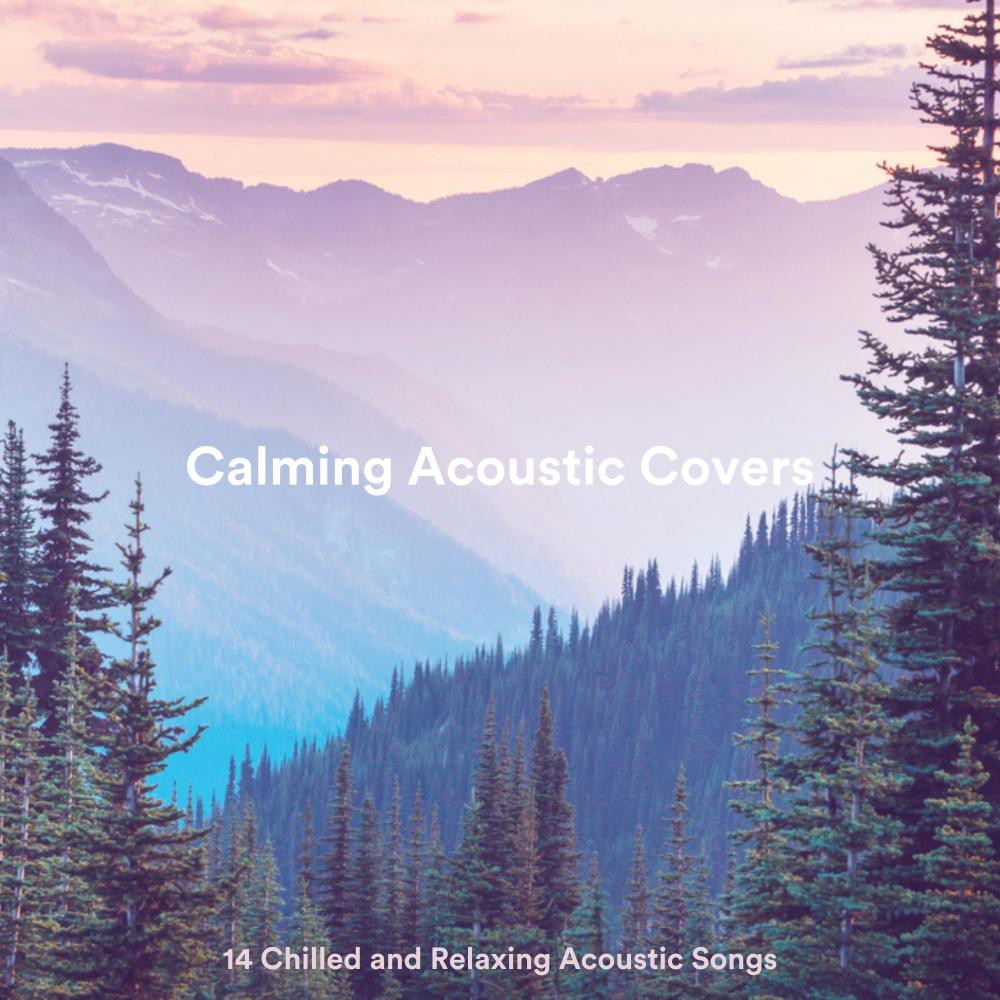 A Safe Place to Land (Acoustic)